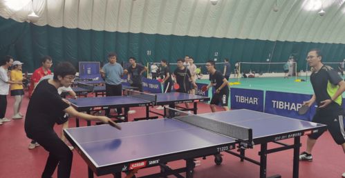 da體協 秋季學期總結